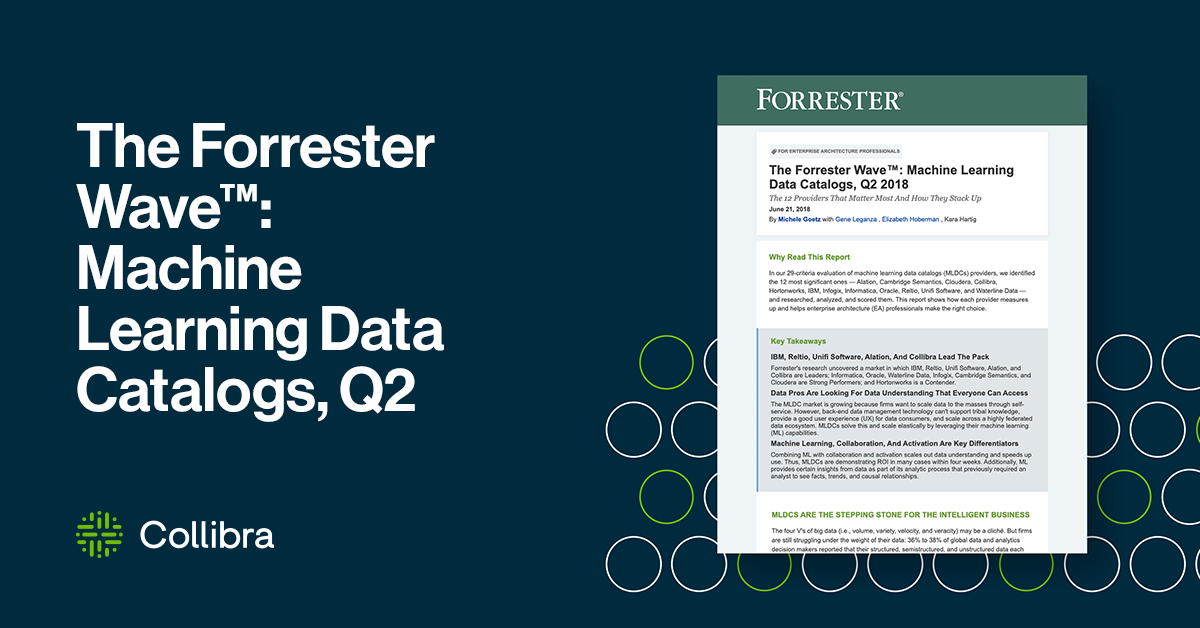 forrester wave machine learning data catalogs